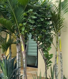 Flandes House | Casa en condominio