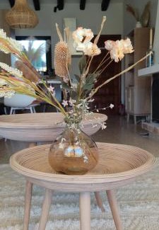 Pinar del Advocat House | Casa eucalyptus moraira