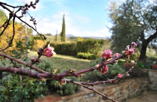 Seggiano House | Casa Fioranna