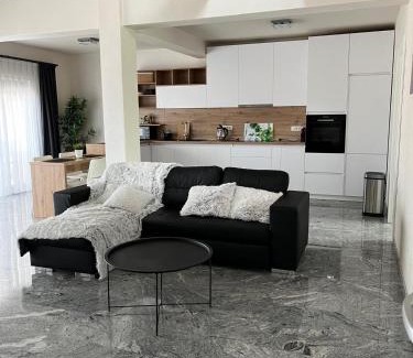 Sinmartin Villa | Casa Fischer