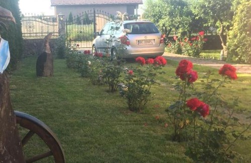 Bacau County House | Casa Flavia
