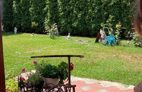 Bacau County House | Casa Flavia