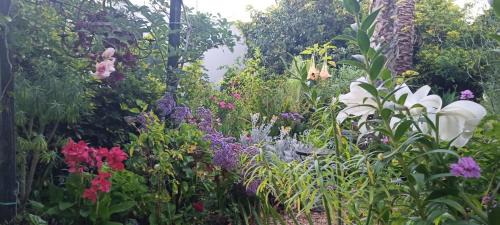 Sauzal Apartment | Casa Flora Garden Studio (Gite)
