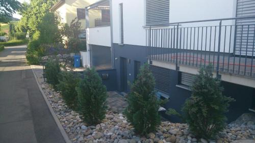 Enzisweiler Apartment | Casa Fortuna Bodensee