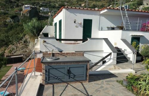 Succhivo House | Casa Franca