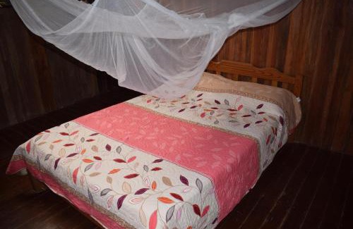 Tingo Maria House | Casa Hospedaje Tingomaria