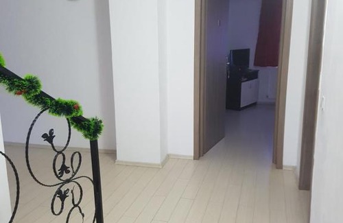 Viseu de Sus House | Casa Ile