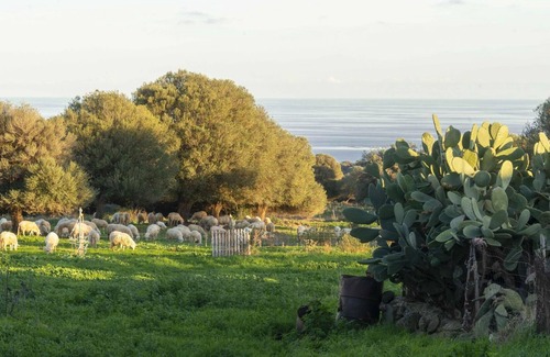 Galtelli Villa | Casa in Pietra in Dorgali