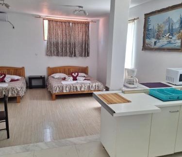 Eforie Nord House | Casa inflorita garsoniere etaj