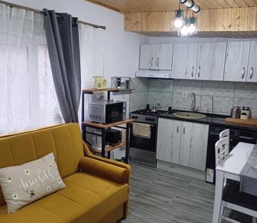 Ocna Mures House | Casa Ioana