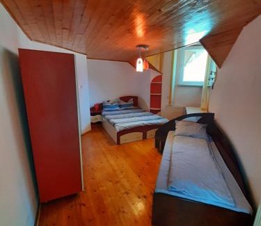 Ramet House | Casa Jax