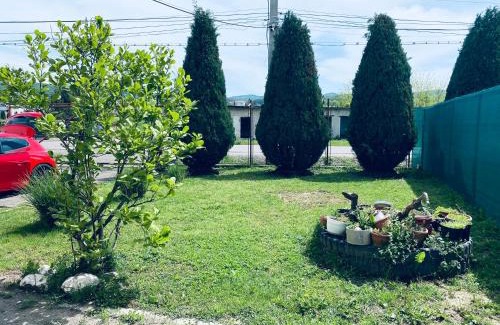 Curtea De Arges Villa | Casa Kutui