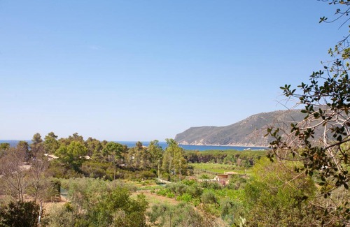 Lacona Apartment | Casa L'Antica Oliveta
