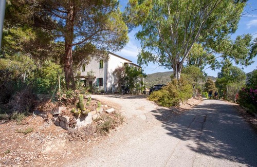 Lacona Apartment | Casa L'Antica Oliveta