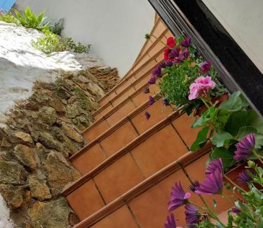 Olvera House | CASA LA ABUELA REMEDIOS