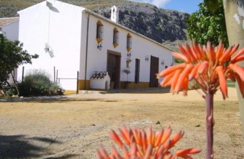 Teba House | Casa La Camorra