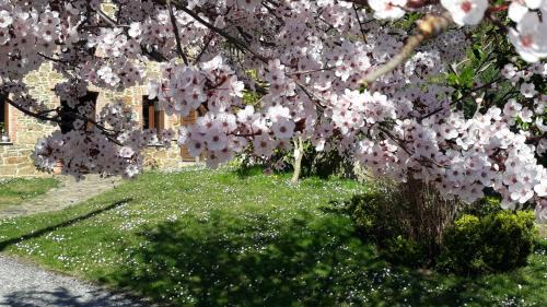 La Granja House | Casa La Escuela