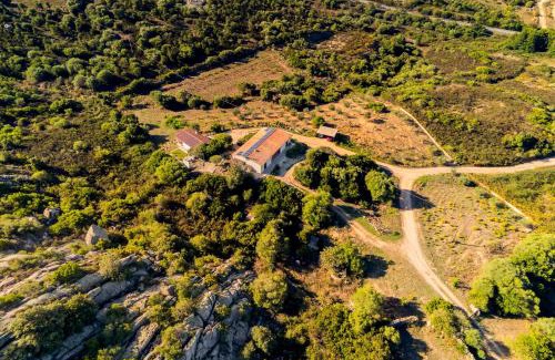 Arzachena House | Casa La Liccia