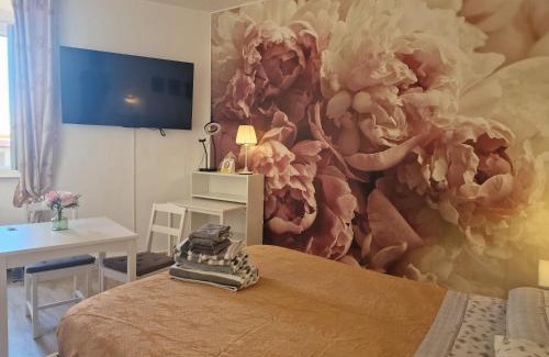Venezia Nuova Apartment | Casa Le Coccole con Parcheggio