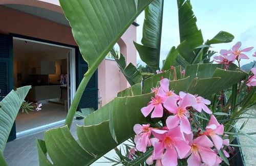 Villanova d'Albenga Apartment | Casa Liguria