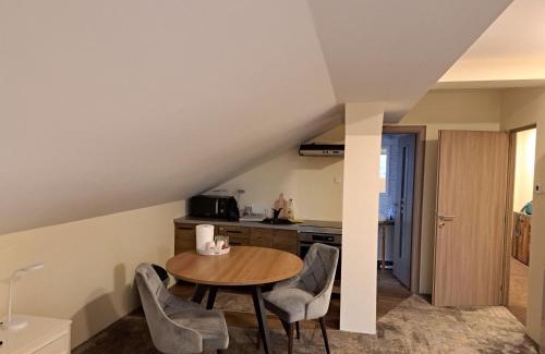 Oradea Apartment | Casa Livia PP Aparthotel