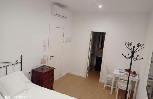Carmona House | Casa Lucero