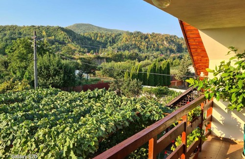 Tirgu Ocna House | Casa Lumi