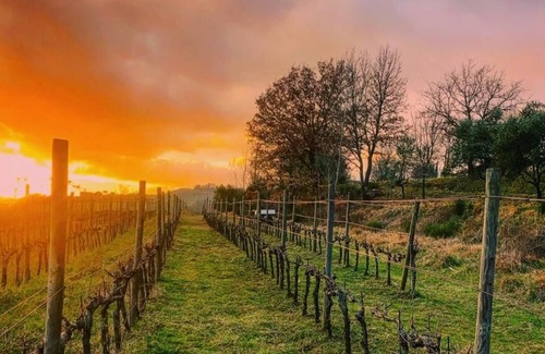 Chianciano Terme House | Casa M: fascinating boutique hotel located in the heart of Tuscany