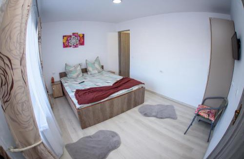 Ideciu de Jos House | Casa Mara