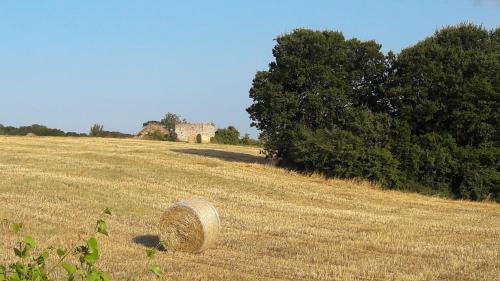 Old Town Cisternino House | Casa Mario