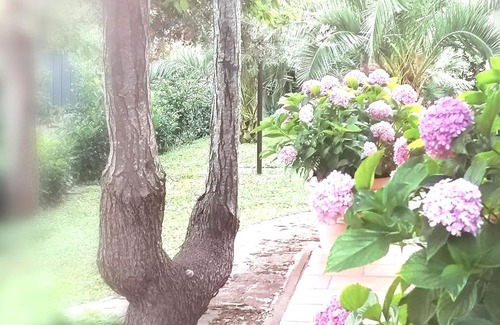 Alcanterini Villa | Casa Marisa Villa Vacanza