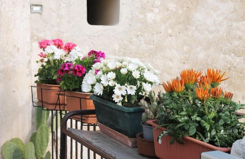 Monte Sant'Angelo Apartment | Casa masseria dell'800 Gargano. Le Mignole