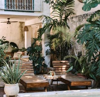 Centro Bed & Breakfast | Casa Mezcla - Bed & Breakfast