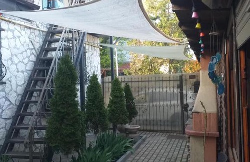 Mangalia House | Casa Mola
