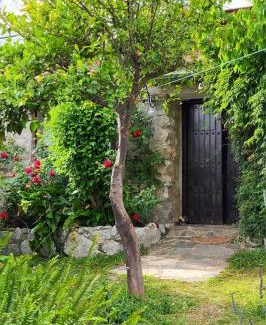 Benaocaz House | Casa Nani