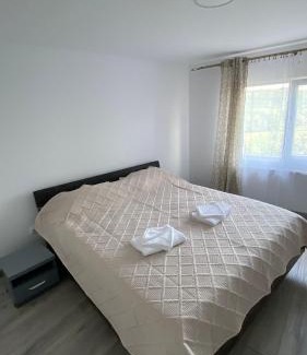Pucioasa House | Casa NICORAD Apartamente