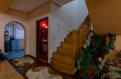 Budesti Villa | Casa NITU