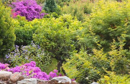 Tovo San Giacomo Bed & Breakfast | Casa Nobile