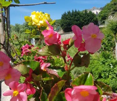Pucara House | Casa Nonna Anna