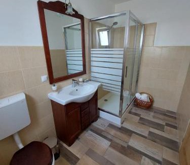Cartisoara House | Casa Oaspeti Transfagarasan