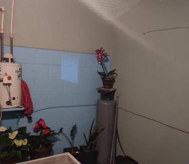 Morelia House | Casa Orquídea