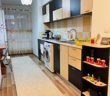 Copou Apartment | Casa Otilia
