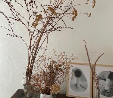 Nessa House | Casa Padume - Maison de village en Balagne