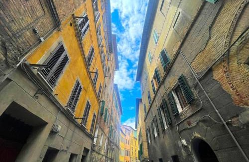Siena Apartment | Casa Paolina