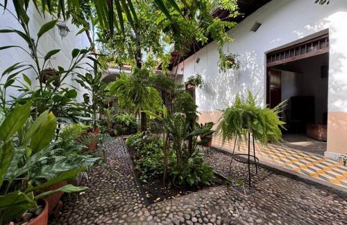 Honda Bed & Breakfast | Casa Paraiso