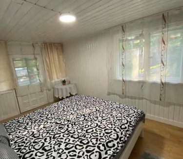 Lunca Mare House | Casa Parvu
