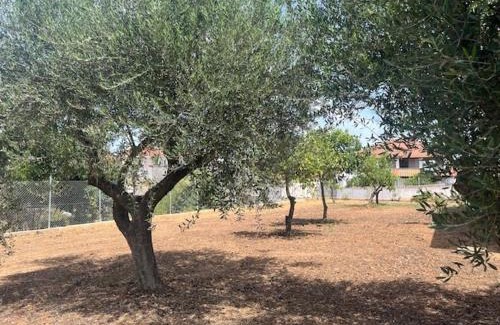 Anemomilos House | Casa Plati 2