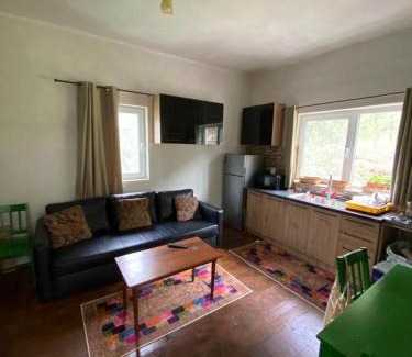 Baia-Sprie House | Casa Poca