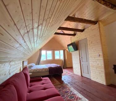 Baia-Sprie House | Casa Poca