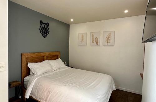 Zona Rosa House | Casa Raffaello
